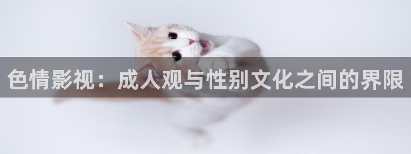 私人影院可以看羞羞：色情影视：成人观与性别文化之间的界限