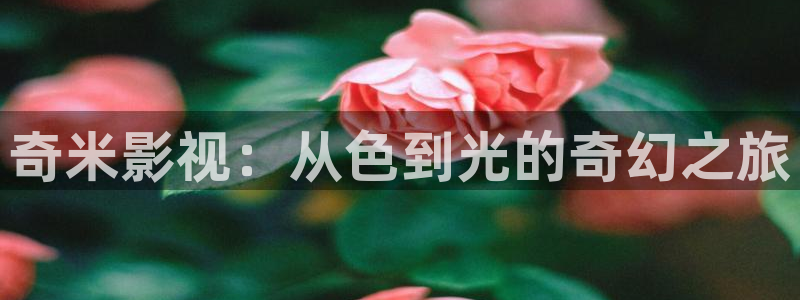 私人影院91