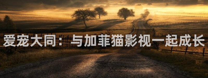四川成都私人影院